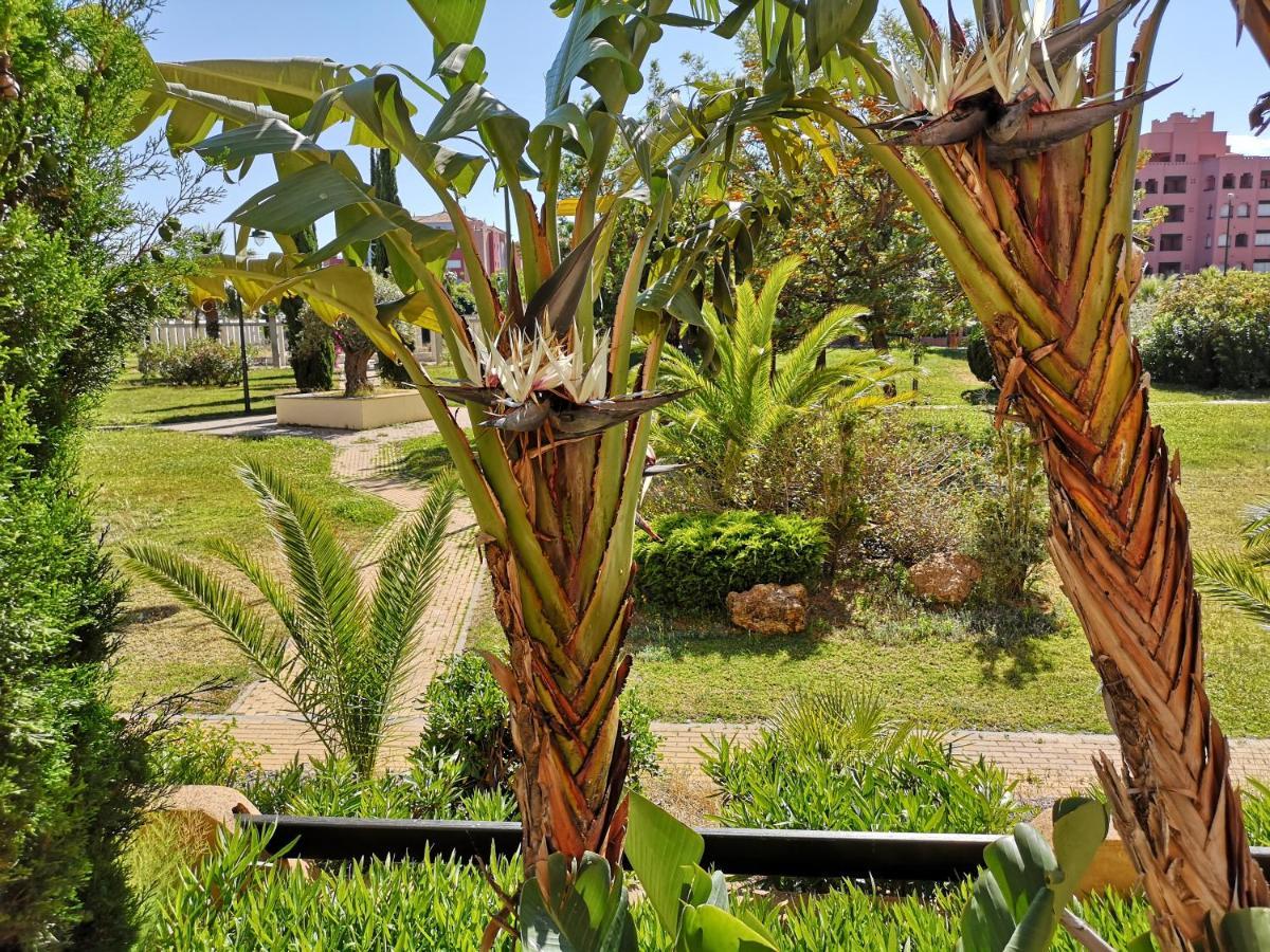 Jardines De Isla Canela, Planta Baja. المظهر الخارجي الصورة